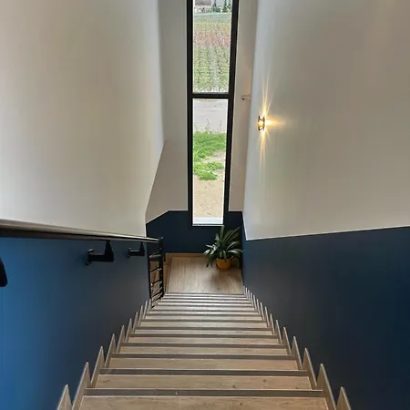 Vignes Au Balcon * Villers-Marmery