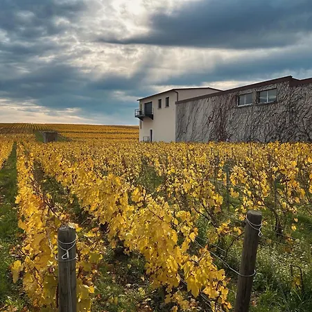 Vignes Au Balcon Lejlighed Villers-Marmery