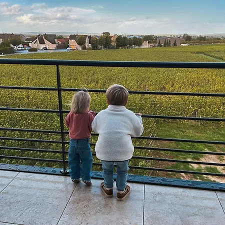 Vignes Au Balcon